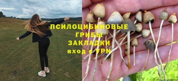 трава Алексин